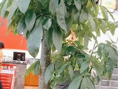 -蒸武门·广式茶点(石滩店)