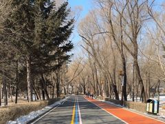 -长春市南湖公园