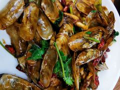 蛏子-渔家乐小海鲜(皇姑店)