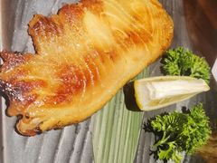 -石葵(锦业时代店)