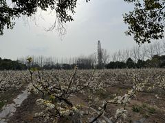 -扬州天乐湖嬉乐谷