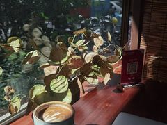 -咖法森林·咖啡  酒吧(天河店)