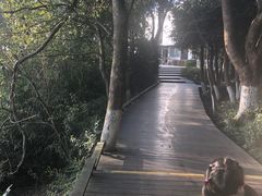 -天目湖山水园