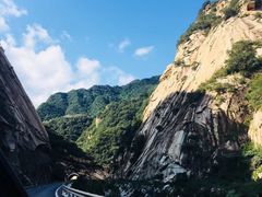 -王顺山国家森林公园