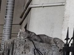 -猫岛主趣味餐厅(鼓浪屿店)