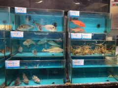 -潮粤香海鲜酒楼(沙湖店)