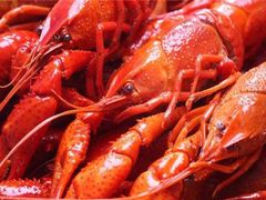 -怪怪龙虾·澳洲蓝龙王·深夜食堂(惊驾路店)
