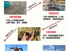 -巧克力渔家.小船海鲜胶东菜(万平口店)