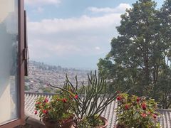 -丽江古城第一观景台