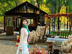 -长白岛森林公园