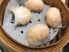 -添好运点心专门店(北角店)