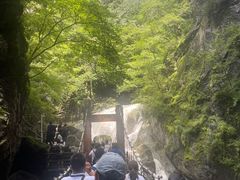-牛背梁国家森林公园