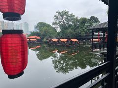 -侨美·唐荔园·40年地道粤菜