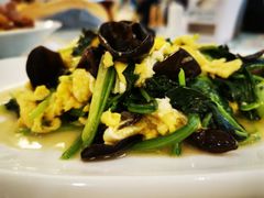 -新疆兵团食府清真(马连道店)