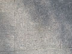 -广西壮族自治区药用植物园