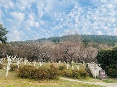 -云龙山