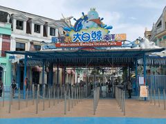 -芜湖新华联大白鲸海洋公园