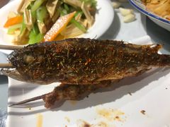 -贺秦生陕面王(富力城店)