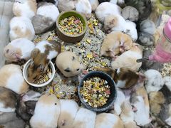 -三旗百汇商品城