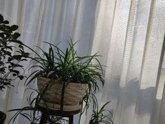 -逸栈养生SPA(望京店)