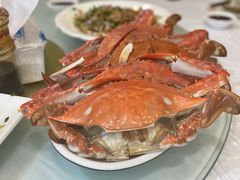 -金海湾海鲜排档(朱家尖店)