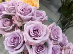 -淘花源花艺鲜花店 开业花篮 绿植(南部商务区店)