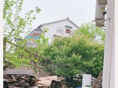 -大塘金香草谷