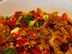鸭掌筋-壹盏灯(惠农店)