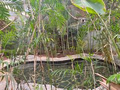 -龙达温泉生态城