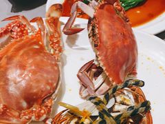 -神洲四海大酒楼(王府井澳门中心店)