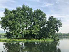 -旅马餐厅(茅家埠店)