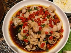 跳跳鱼肚-北平盛世·新京菜·北京烤鸭(劲松·双井店)