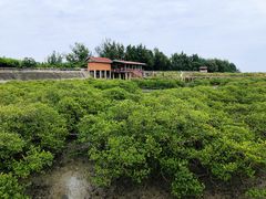 -北海金海湾红树林生态旅游区