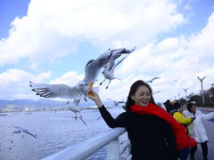 -滇池海埂公园