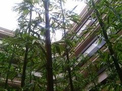 android_upload_pic-嘉瑞酒店有限公司