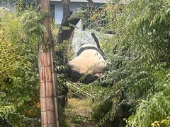 -青藏高原野生动物园