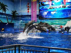 -多彩贵州城极地海洋世界