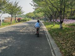 -阳澄湖半岛旅游度假区
