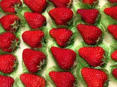 草莓-金旭菜市场