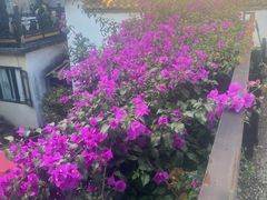 -浔岚云舍mist静谧观景美宿(丽江古城店)