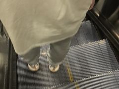 -动物园(地铁站)