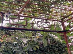 -金稼园·金平湖农家菜