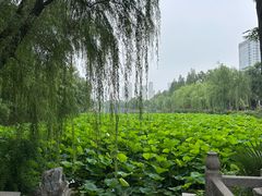 -包公祠