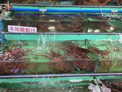 -广东名门