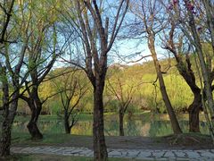 -贵阳市花溪国家城市湿地公园