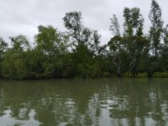 -东寨港红树林旅游区