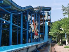 -重庆海昌加勒比海水世界
