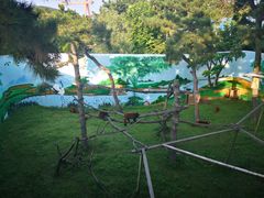 -西霞口神雕山野生动物世界