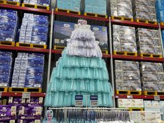 -山姆会员商店(上海浦东店)