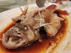 东星斑-东江海鲜酒家(艺都分店)